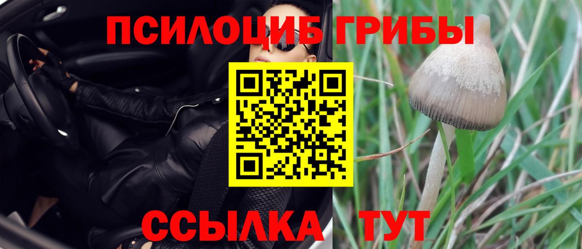 Отрадный  Галлюциногенные грибы прущие грибы  Вход с VPN 